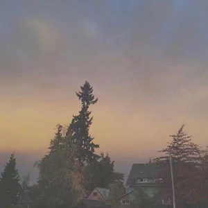 中国明星三点尽露片段在线播放
