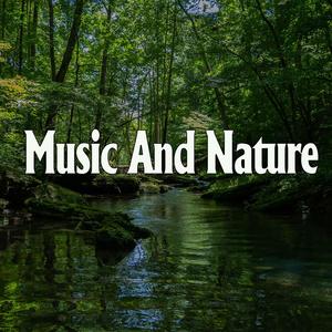 中国明星三点尽露片段在线播放
